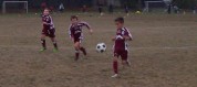 Foto partita